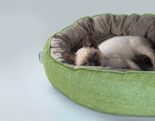 Load image into Gallery viewer, Cuddle Oval Pod Cat Bed - Green
