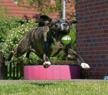 Load image into Gallery viewer, Grinz Dog Treat Ball - Green
