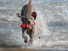 Load image into Gallery viewer, Lighthouse Floating Dog Toy
