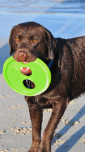 Load image into Gallery viewer, Frisbee Dog Toy - Green
