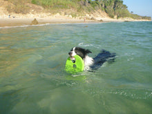 Load image into Gallery viewer, Frisbee Dog Toy - Green
