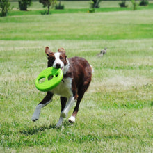 Load image into Gallery viewer, Frisbee Dog Toy - Green
