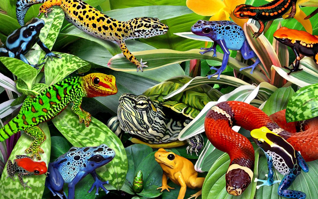 Reptiles Puzzle - 50 Piece