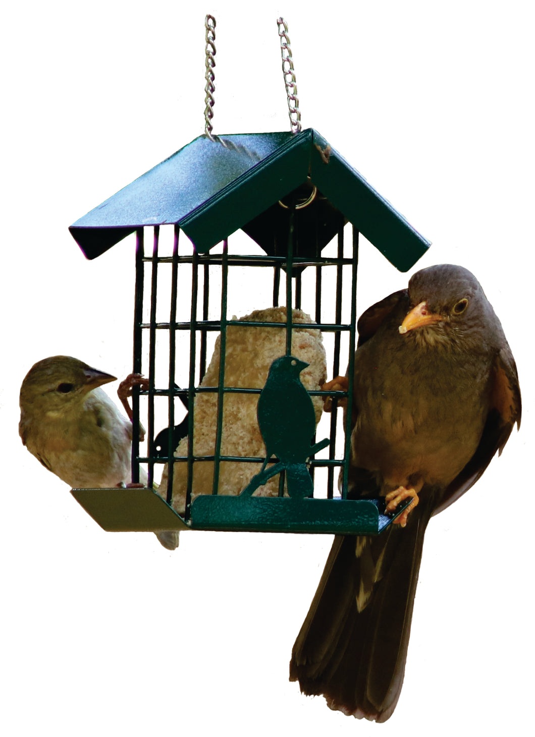 Feeding Cabin With Suet Slab