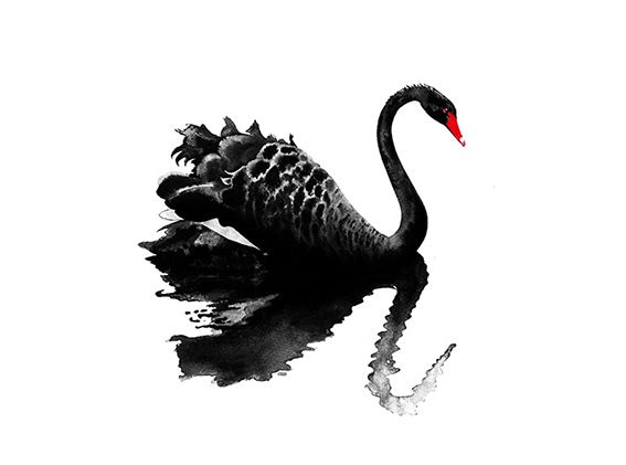 Black Swan Print